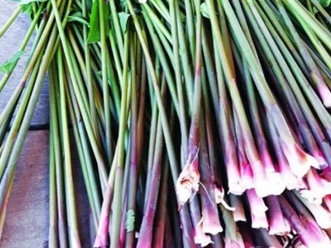Thứ tưởng chỉ nhổ vứt đi lại là đặc sản ngon lạ lùng, dân thành phố ưa chuộng giá tới 50.000 đồng/kg