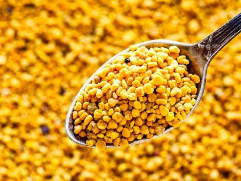 Một loại phấn hoa chỉ thu vài ngày trong năm, có giá hơn 1 triệu đồng/kg