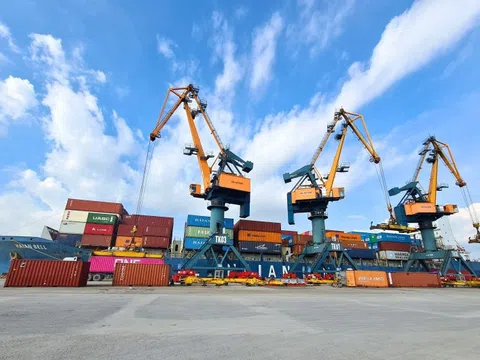 Doanh nghiệp có đội tàu container lớn nhất Việt Nam chốt quyền nhận cổ tức tổng tỷ lệ 40%