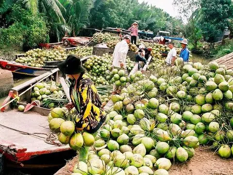 Khai phá thị trường mới, tiếp tục đưa trái cây Việt lên kệ hàng quốc tế