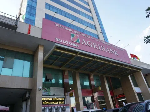 Agribank rao bán tài sản của Công ty Nam Anh giá hơn 80 tỷ đồng