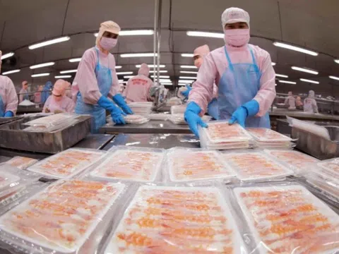 Vượt mặt Trung Quốc, Na Uy: Việt Nam vươn lên top 3 nhà cung ứng thuỷ sản lớn nhất tại đảo quốc sư tử