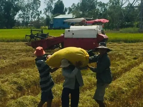 Nông dân Đồng Tháp từng trăn trở trước nỗi vất vả, nay ‘ăn nên làm ra’ nhờ bước chuyển mình: Trồng lúa giờ nhàn tênh, thu nhập tiền tỷ lại ‘giúp người