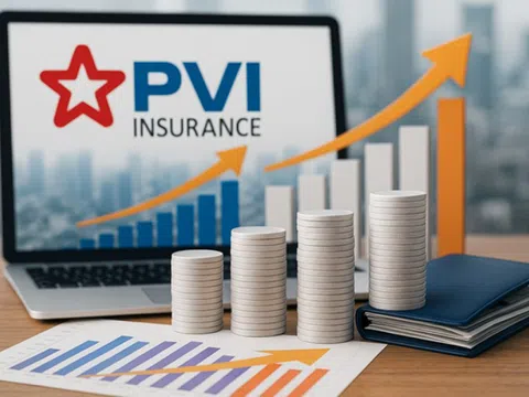 PVI lãi ròng quý II/2025 tăng 52%, danh mục tài chính vẫn tập trung vào tiền gửi và trái phiếu