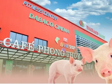 Vaccine bảo hộ hiệu quả giữa bão dịch tả lợn, Dabaco (DBC) báo lãi quý 2 tăng trưởng 250%