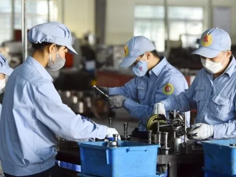 Từ 1/1/2026: Thao tác bắt buộc đối với hàng triệu người lao động, biết và làm đúng để đảm bảo quyền lợi