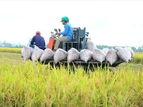 Thứ trưởng Nông nghiệp lo nông sản Việt 'vấp' ở thị trường lớn