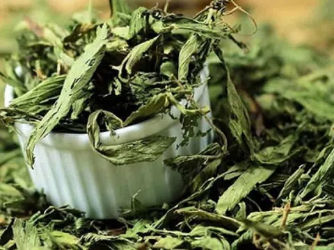 Bất ngờ loại cây ngọt hơn cả đường lại giúp hạ đường huyết cực tốt: Việt Nam cũng có, giá bao nhiêu?