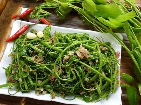 Loại rau 'quê mùa' ngày nào nay thành đặc sản đắt khách, ai ăn cũng nhớ: Giá tới 90.000 đồng/kg, vào thực đơn nhà hàng