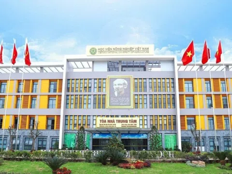 Ngành học gắn liền với ngành hàng hàng chục tỷ đô, điểm chuẩn từ 16 điểm: Tốt nghiệp doanh nghiệp săn đón, lương tới 200 triệu/tháng