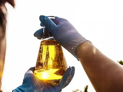 Một loại chất thải gây tắc nghẽn cống rãnh được biến thành 'vàng', mở ra một cơ hội lớn chưa từng có cho Việt Nam
