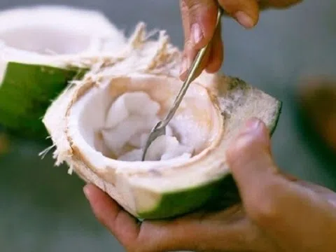 Một bộ phận của quả dừa, giá chưa tới 40.000 đồng/kg nhưng bổ ngang nhân sâm, tổ yến đang bị người Việt bỏ quên