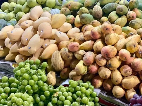 Loại xoài vàng ươm, thơm nức 'gây sốt' thị trường hoa quả: Hình dáng lạ mắt, giá rẻ, xuất xứ gây tranh cãi
