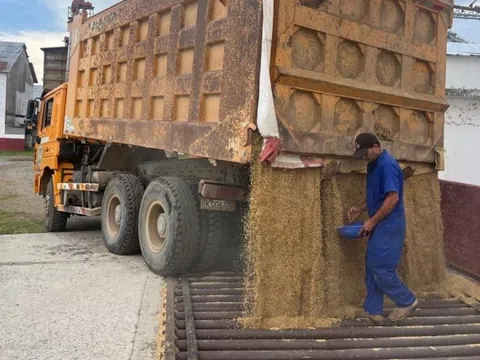 Cuba phá lệ 66 năm với đối tác Việt, tương lai không cần vượt nửa vòng trái đất để mua gạo