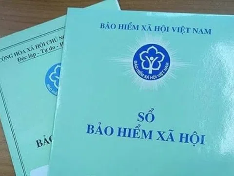Bảo hiểm xã hội TP.HCM phát cảnh báo khẩn