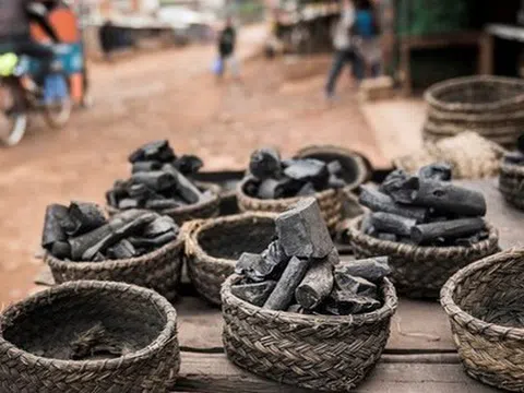 Nga đưa sang Việt Nam hàng triệu tấn 'vàng đen' với giá siêu rẻ: thuế nhập khẩu 5%, Moscow nắm trữ lượng đủ dùng trong 500 năm
