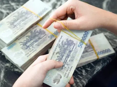 Giám đốc Công ty CP đầu tư Holdings Toàn Cầu lừa bán cổ phần của Công ty Vimeco