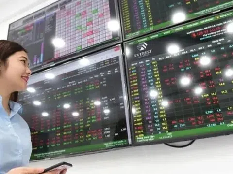 Mã cổ phiếu gây chú ý đặc biệt