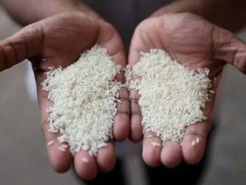 Đường dây gạo giả gây thiệt hại hơn 6 tỷ USD tại cường quốc gạo châu Á, Tổng thống thẳng tay trị loạt ông lớn đứng sau
