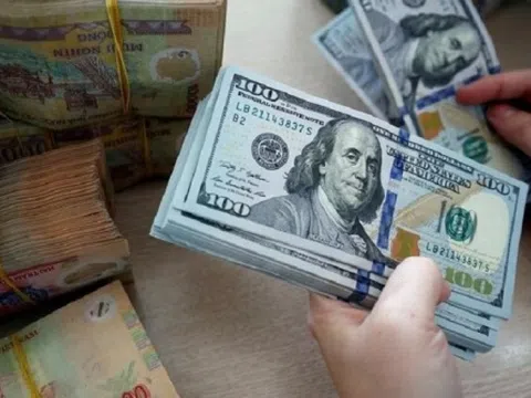 Tỷ giá hôm nay 4/8: Giá USD đi lên, NDT giảm tại ngân hàng