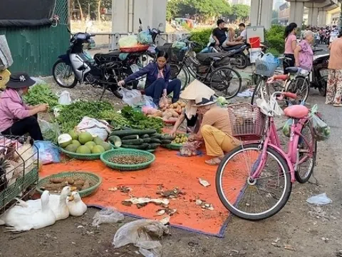 Hà Nội quyết xóa sổ chợ cóc, chợ tạm, dẹp loạn giết mổ trong năm 2025