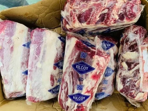 Hơn 230.000 tấn thịt ngoại vừa tràn vào Việt Nam