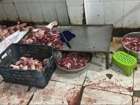 Phát hiện cơ sở giết mổ trái phép đang sơ chế, trữ đông 1 tấn thịt heo không không rõ nguồn gốc