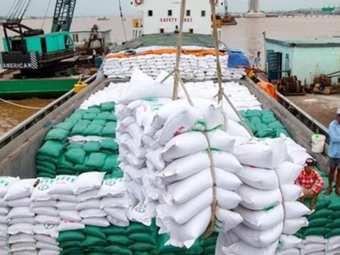 Quốc gia Đông Nam Á nhập khẩu gạo lớn nhất thế giới đột ngột ‘bẻ lái’, thị trường gạo Việt Nam có bị ảnh hưởng?