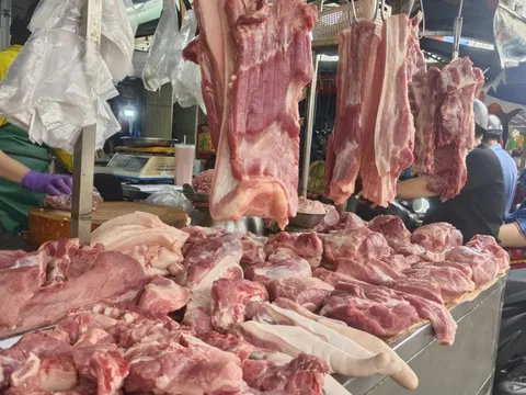 Giá heo hơi hôm nay 28-8: Miền Bắc tăng nhẹ