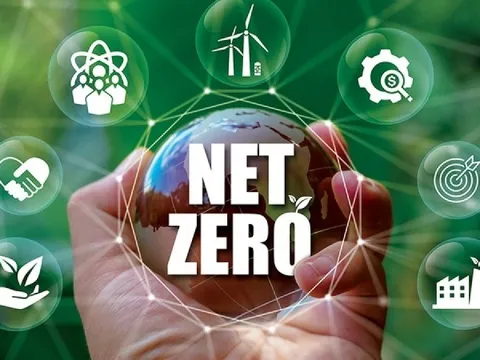Liên minh Ngân hàng Net-Zero sụp đổ