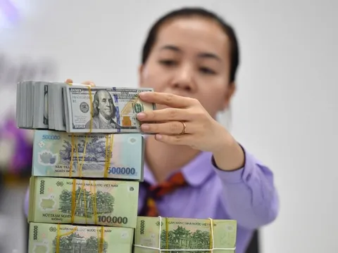 TS Bùi Lê Minh: Đang có động thái 'câu giờ' chờ chính sách tiền tệ nới lỏng lan tỏa