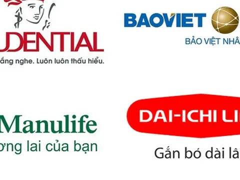 Công ty bảo hiểm nhân thọ nào đang đổ nhiều tiền nhất vào chứng khoán?