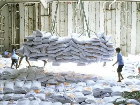 Tự hào về cường quốc lương thực của thế giới