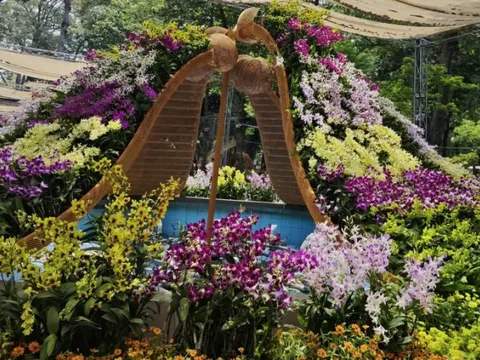 Ngành hoa Đà Lạt "sốc" vì bão hủy đơn hàng trước ngày khai giảng