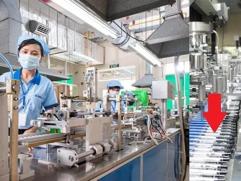 Bán sản phẩm chỉ bằng cốc trà đá khiến 74 quốc gia đặt mua, DN Việt lại “chơi lớn” ở “xứ sở nghìn đảo”