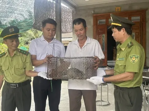 Bất ngờ phát hiện loài động vật quý bò vào vườn nhà lúc sáng sớm