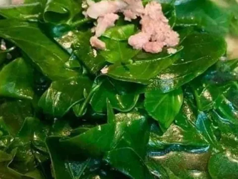 Đặc sản độc lạ từ cây dại, hương vị lạ miệng, bán 200.000 đồng/kg vẫn hết veo, người thành phố mê mẩn