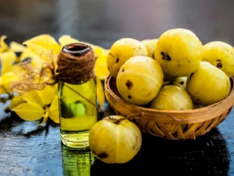 Quả dại từng rụng đầy gốc chẳng ai thèm, nay nhặt về chế biến thành đặc sản được săn lùng, giá bán hơn nửa triệu đồng/kg