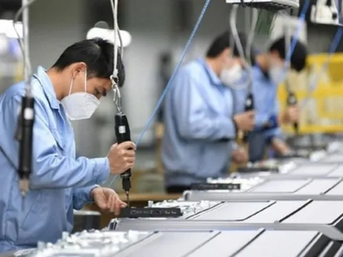 209.200 doanh nghiệp bùng nổ trở lại: Kỷ lục 3 năm, kinh tế Việt Nam vào ‘thời điểm vàng’?