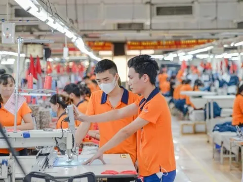 Hàng Việt xuất Mỹ tăng mạnh bất chấp chính sách thuế mới