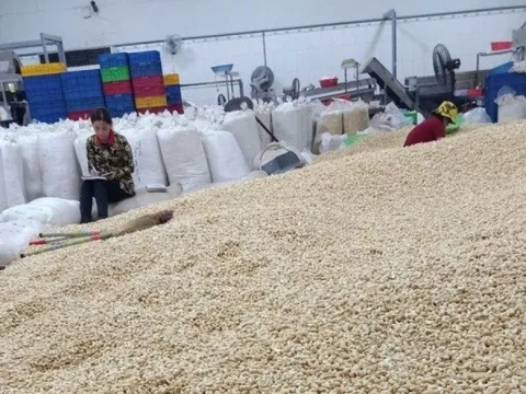 Động lực khiến Trung Quốc tăng thu mua loại hạt mà Việt Nam giữ ngôi vương xuất khẩu suốt 15 năm, tốc độ khiến Mỹ hụt hơi