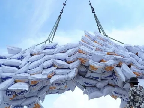 Lo 'tắc' gần nửa triệu tấn gạo Việt vì hành động của Indonesia, Philippines