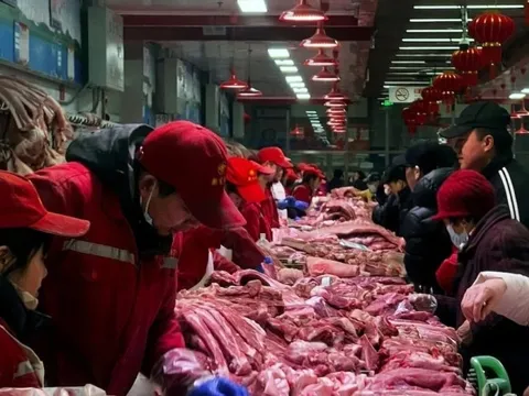 Trung Quốc đánh thuế sốc với thịt lợn nhập, cơn 'ác mộng' đe dọa 4 quốc gia