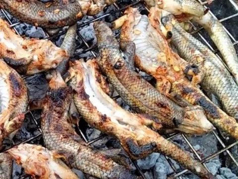 Nhiều người nhìn 'sợ chết khiếp', nhưng đây lại là đặc sản đắt đỏ, giá 350.000 đồng/kg vẫn được săn lùng