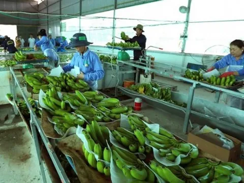 Xác định 3 trụ cột nâng cao giá trị nông sản