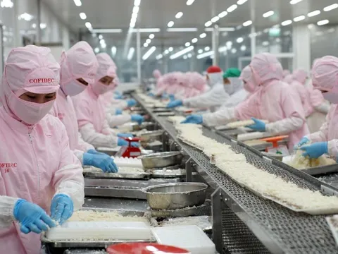 COFIDEC xanh hóa sản xuất, vươn tầm thủy sản Việt