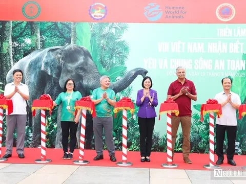 Gần 500 người tham gia "Nhảy vì sự tử tế với loài voi và các loài động vật hoang dã"