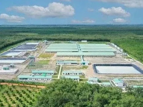 Baf Việt Nam lên kế hoạch phát hành 1.000 tỷ đồng trái phiếu