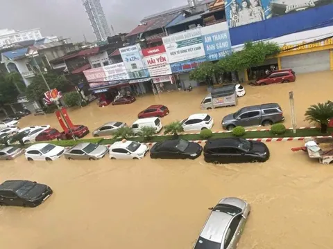 Bão liên tiếp gây thiệt hại, Bảo hiểm Bảo Việt chi bồi thường ước 119 tỷ đồng