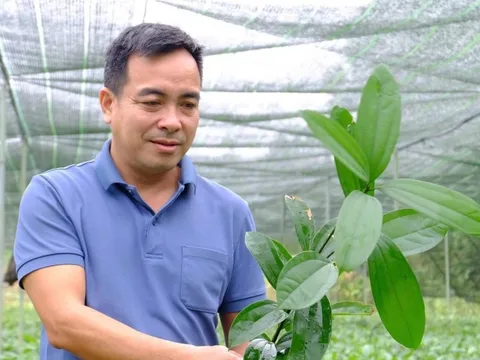 Rời thành phố với mức thu nhập ổn định, bán cả nhà, người đàn ông ở Đà Nẵng bị cho là ‘điên’ khi quyết thực hiện… đi theo giấc mơ mới